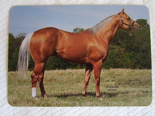 Horse swap card modern - horse,