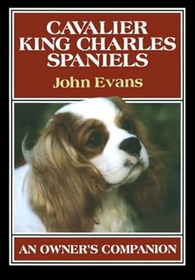 Cavalier king charles - king,