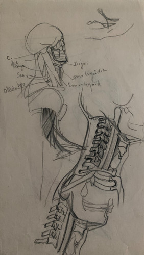 Guy combrisson - combrisson, (1905-1991)