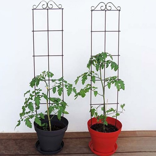 Pcs treillage pour plantes - 2,