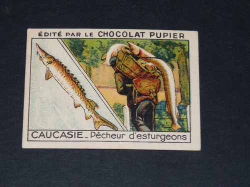 Chromo chocolat pupier asie - chromo,