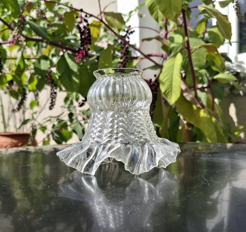 Tulipe verre transparent - en,