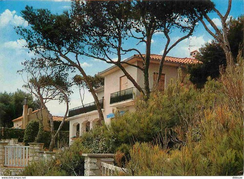 Carte postale - -,
