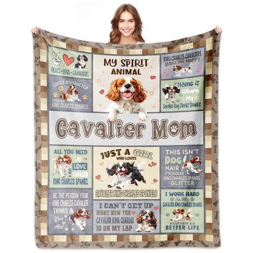 Cavalier king charles spaniel - king,