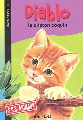 Diablo chaton coquin - diablo,
