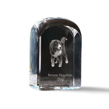 Berner Bernois, Dürrbächler