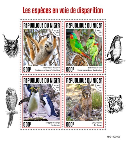 Endangered species penguins - species,