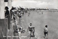 FASANO REED TOWER - BEACH - vg - toast