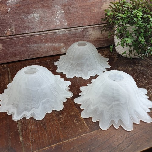 Lot tulipes abat - lot, en
