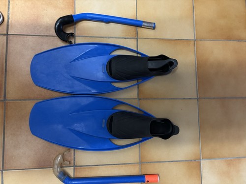 Palme plus tubas - palme,