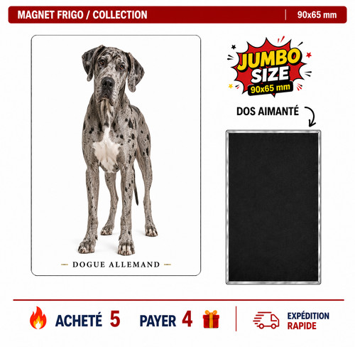 Magnet dogue allemand - , mm