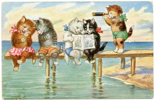 Chats humanisés humanized - chats, humanisés.