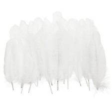 Plumes d'oie 4-6" naturelles