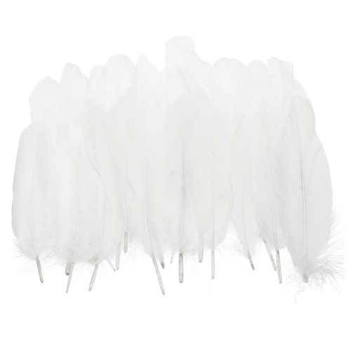 Plumes oie naturelles - 4-6",