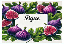 Figue 12 Etiquettes vinyle conserve fruit légume confiture fait maison