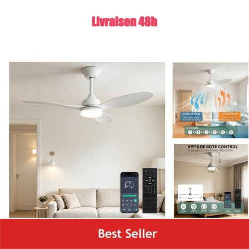 Ventilateur plafond 106cm avec - ventilateur,