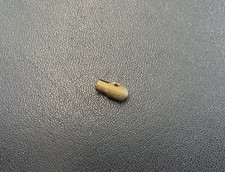 Vespa 125 150 200 PX Jetto Massimo Cycler Size 98