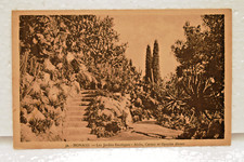 Les Jardins Exotiques Monaco Carte Postale Aloès Cereus Opuntia Cactus Jardin