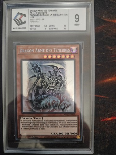 Dragon armé des ténères - dragon,