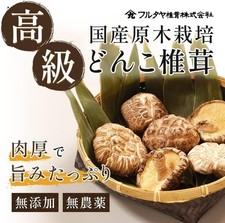 Champignon Dongko Shiitake de