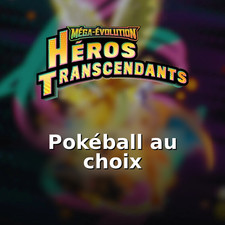 Carte Pokémon Au Choix Héros