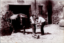 Maréchal-ferrant et un