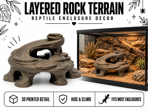 Layered rock terrain reptile - rock,