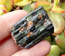 Verdelite Green Tourmaline Crystal 3x2x2cm Minerals Rare Stone Collection