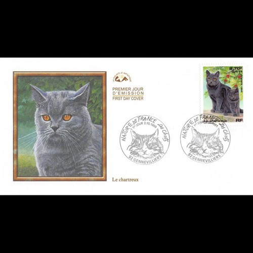 Cef les chats - les, chartreux