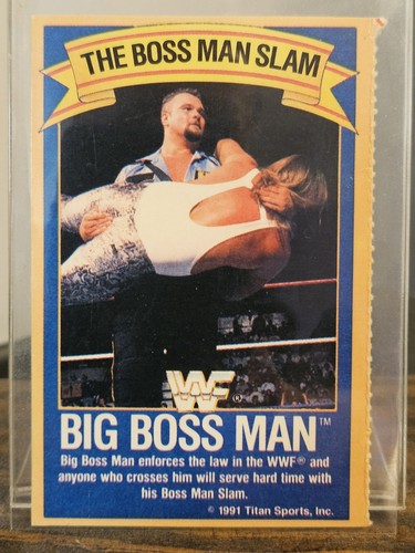 1991 wwf ice cream - ice, bar