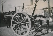 ITALY c. 1940 - Horse Hitch Cart Decorated Painted Palermo - Div 11716