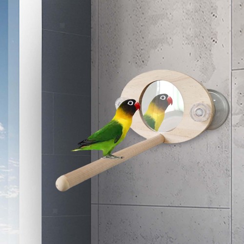 Perchoir oiseaux avec - oiseaux,
