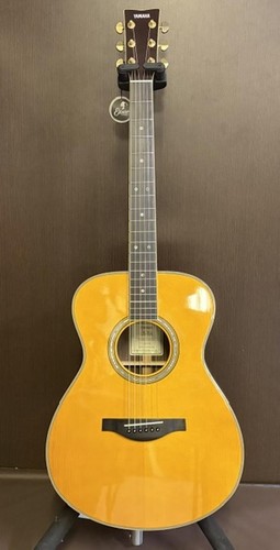 Guitare acoustique électrique