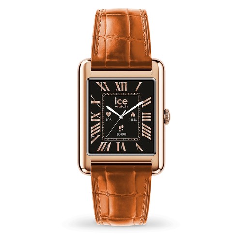 Ice watch montre marron - ice,