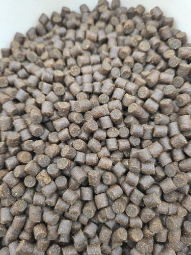 10kg pellets carpe fish - de,