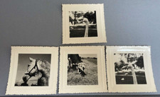 LOT DE 4 BELLES ANCIENNES