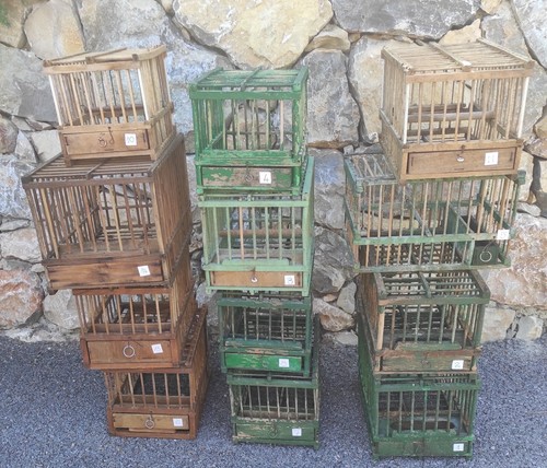 Cages oiseaux anciennes - oiseaux, en
