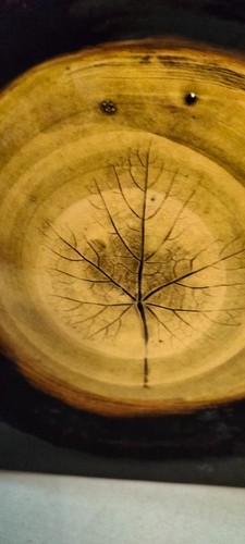 Magnifique céramique - ,