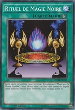 Yu-Gi-Oh : Rituel de Magie