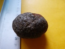 Nodule de Pyrite , France