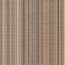 Knoll Striae Stripe Dandelion