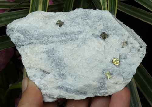 Cristaux pyrite doré - pyrite,