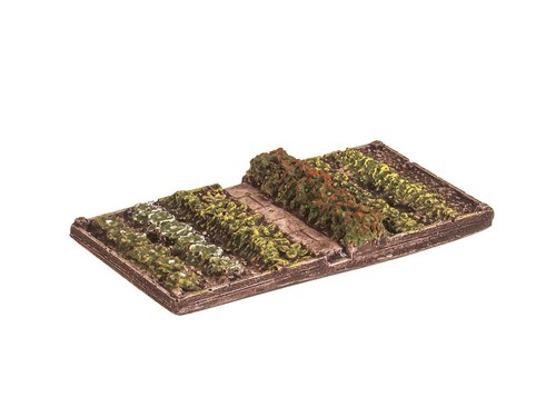 Parcelle légumes avec - de,