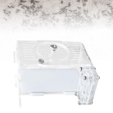 Fourmilière Robuste pour