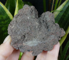 Lave Fossile / Bombe