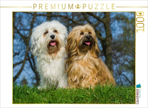 Puzzle calvendo bichon - calvendo,