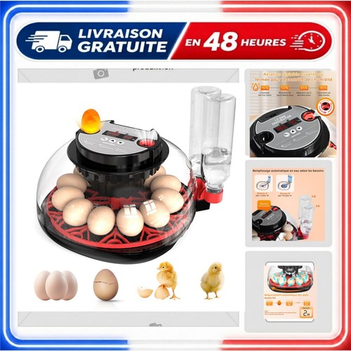 Couveuse oeuf automatique - oeuf,