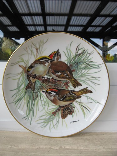 Assiette murale porcelaine - assiette,