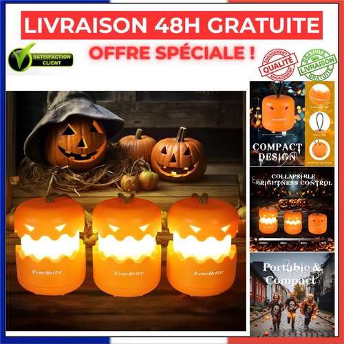 Everbrite lanterne citrouille - everbrite,