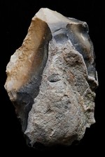Large Bifacial Tool (Biface Roughing) 175mm - Early Neanderthal, Vienne - France